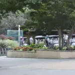 A Garden Outside a Parking Lot Area